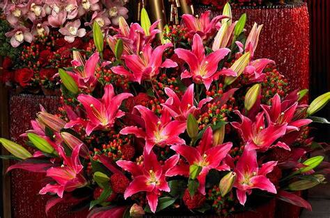 百合花 招財